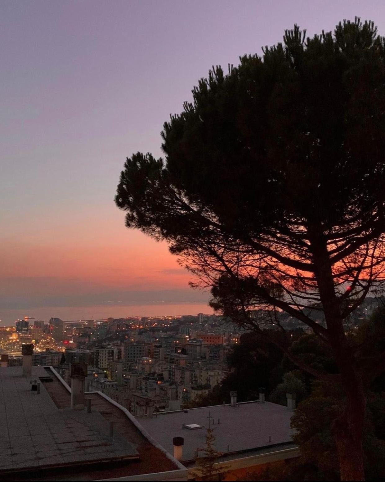 Genoa View & Hiking In Italian Rivieraアパートメント エクステリア 写真