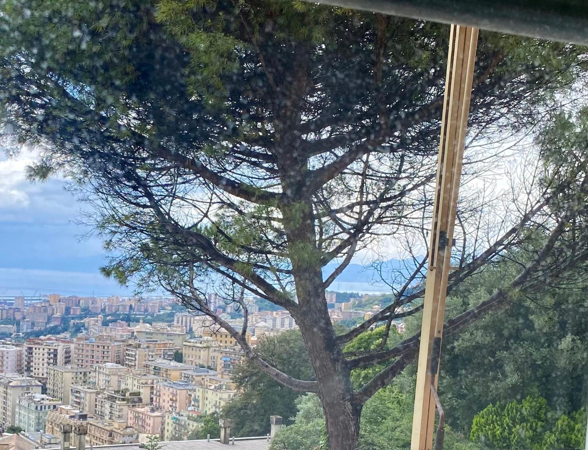 Genoa View & Hiking In Italian Rivieraアパートメント エクステリア 写真